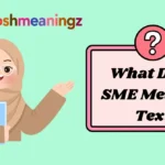 What Does SME Mean in Text