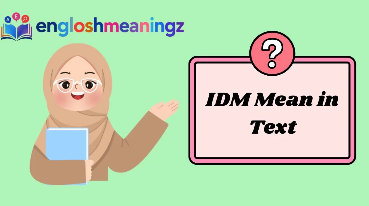 IDM Mean in Text