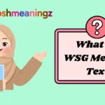 What Do WSG Mean in Text