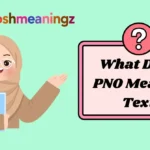 What Does PNO Mean in Text