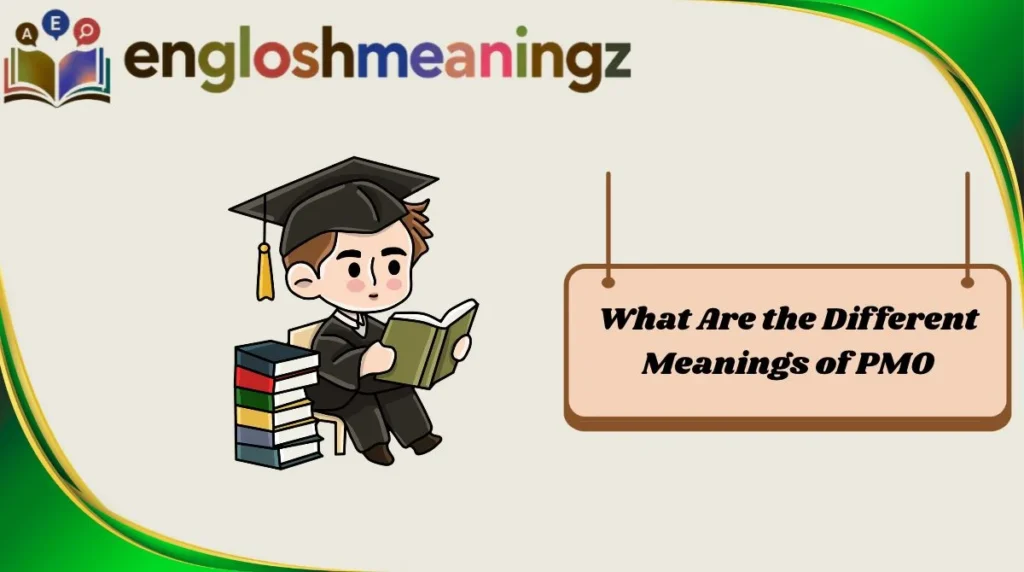 What Are the Different Meanings of PMO